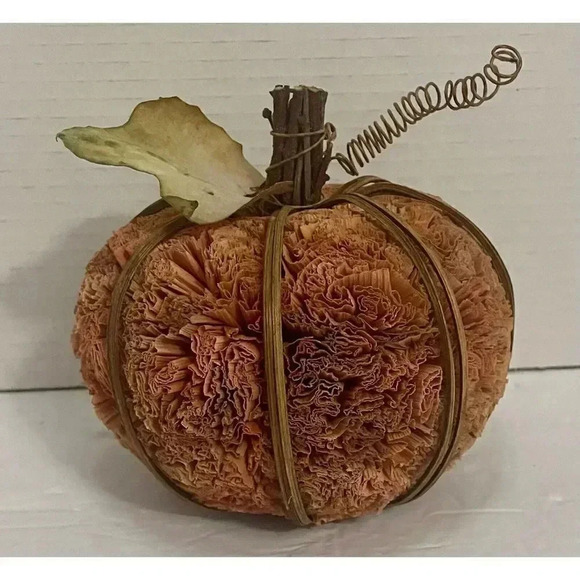 Fall Pumpkin Natural Materials Halloween Harvest Decor Orange 5” x 5” - Picture 3 of 5
